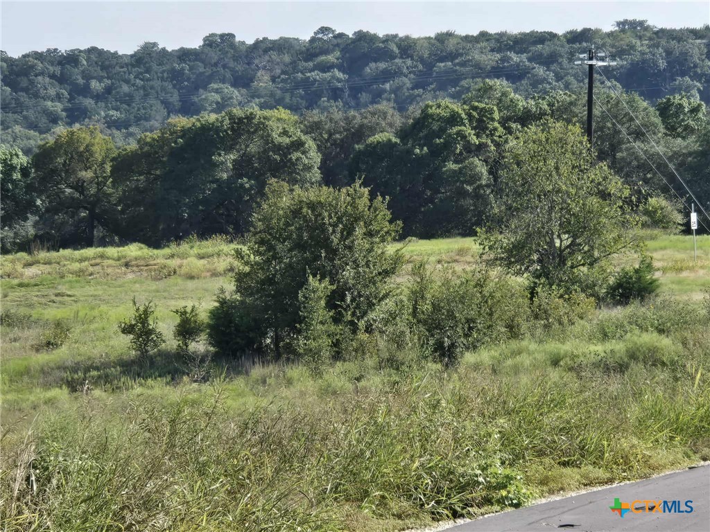 Tbd Big Bend Drive Property Photo 3