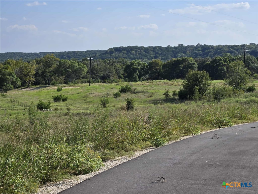 Tbd Big Bend Drive Property Photo 5