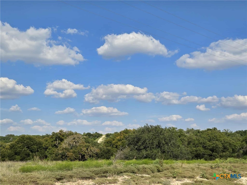 Tbd Big Bend Drive Property Photo 6