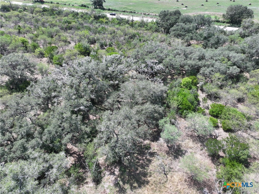 5394 Fm 237 Property Photo 3