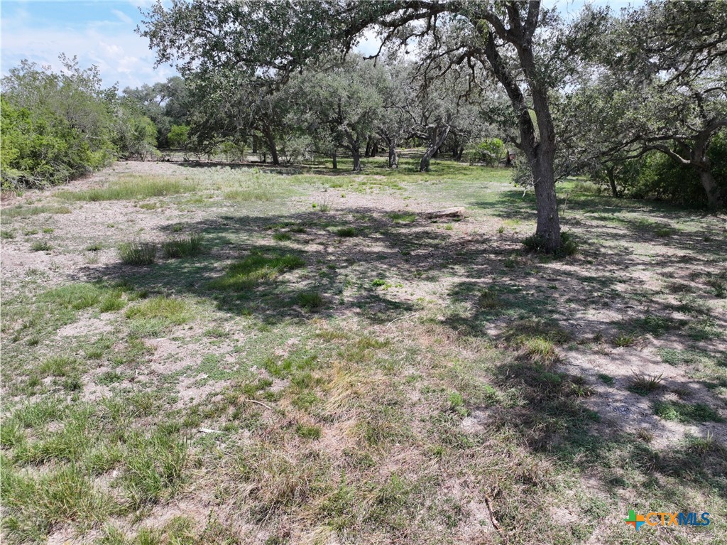 5394 Fm 237 Property Photo 5