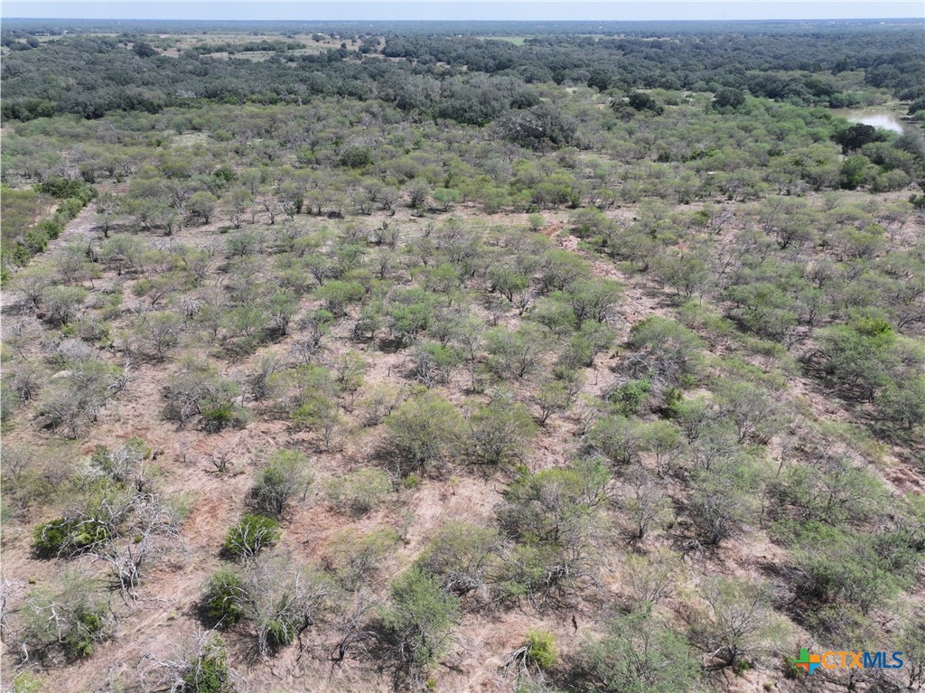 5394 Fm 237 Property Photo 11