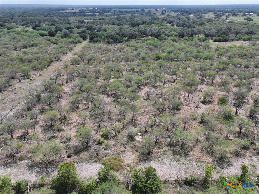 5394 Fm 237 Property Photo 12