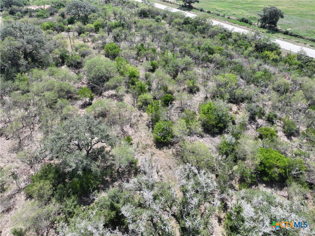 5394 Fm 237 Property Photo 16