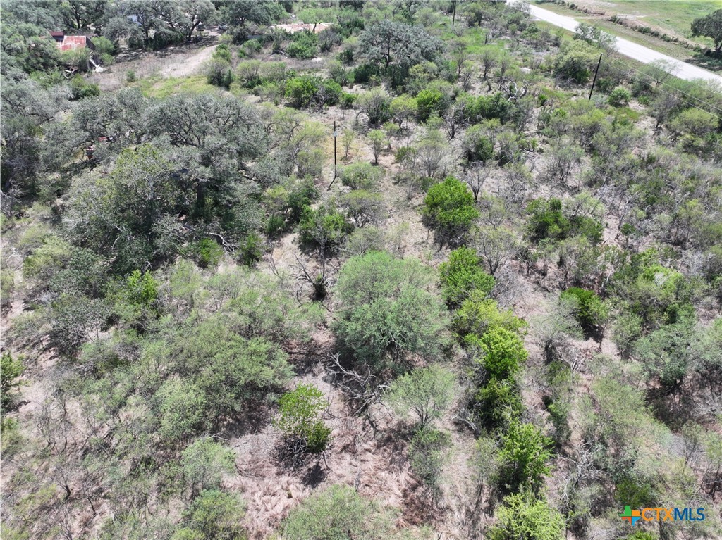 5394 Fm 237 Property Photo 17