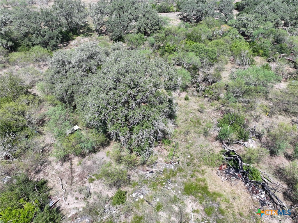 5394 Fm 237 Property Photo 23