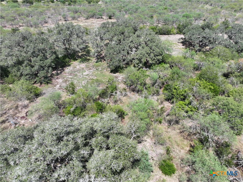 5394 Fm 237 Property Photo 24