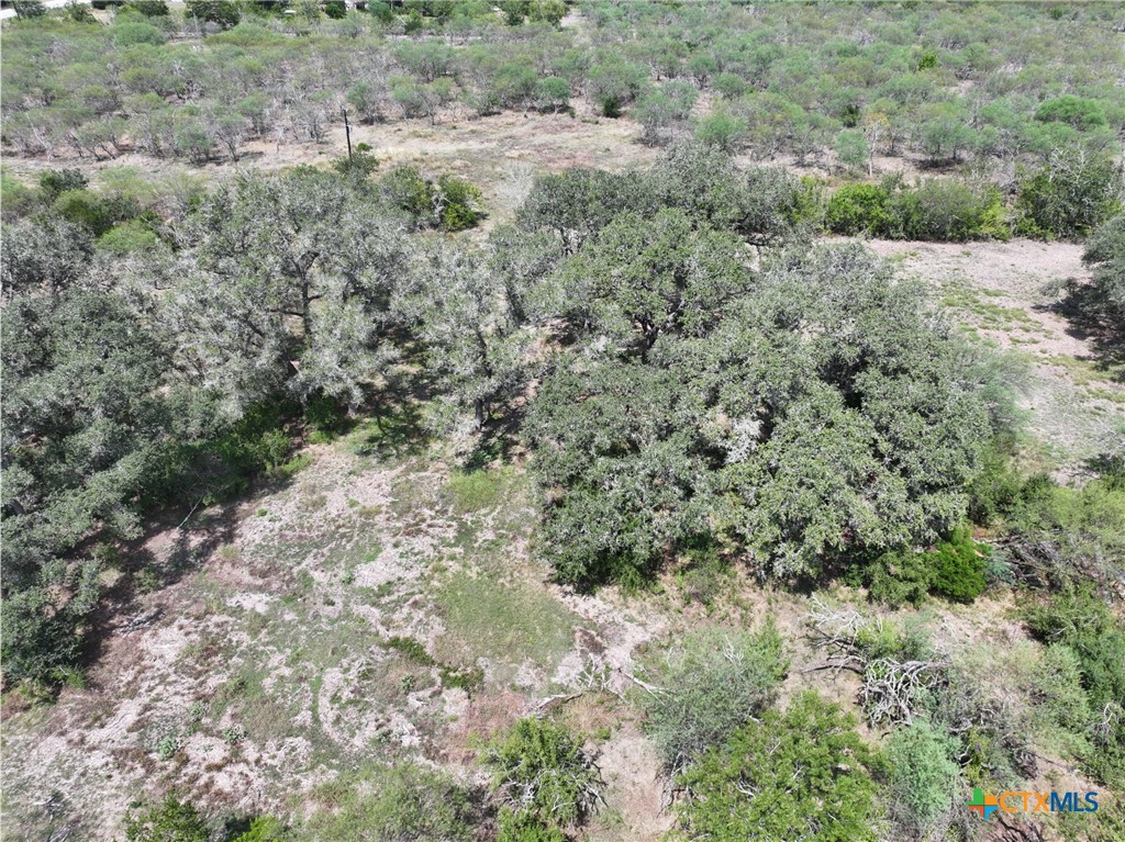 5394 Fm 237 Property Photo 25