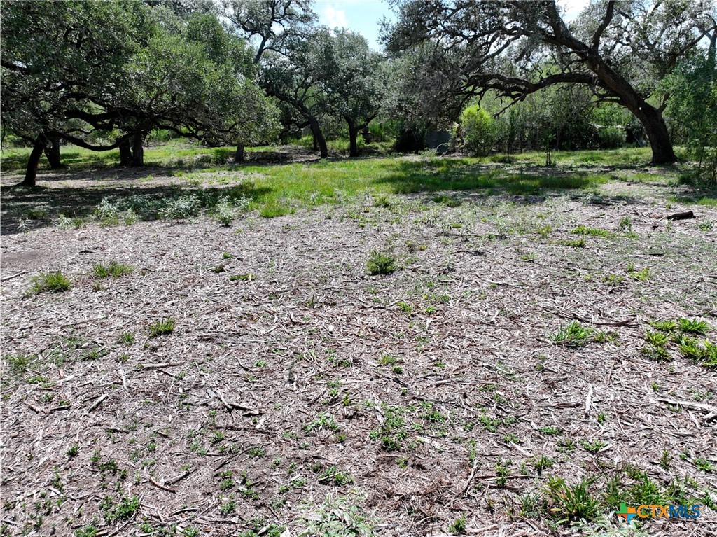 5394 Fm 237 Property Photo 26