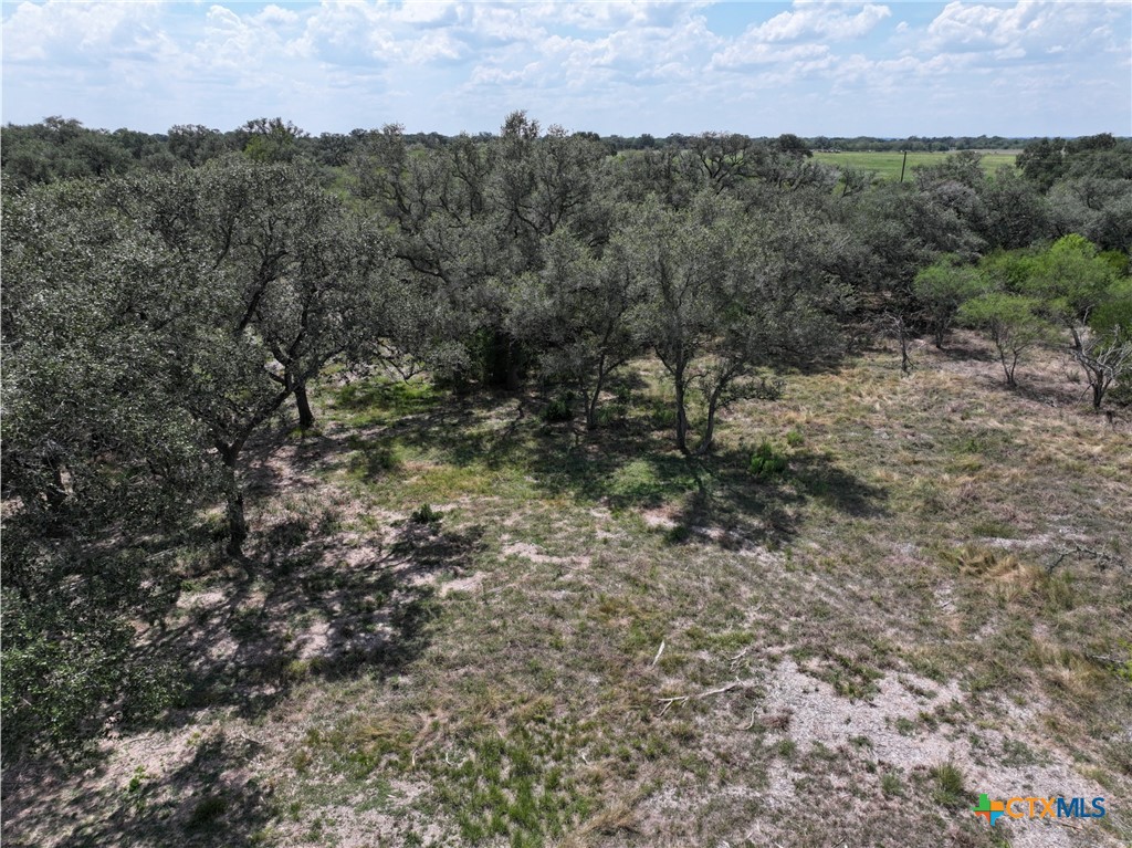 5394 Fm 237 Property Photo 28