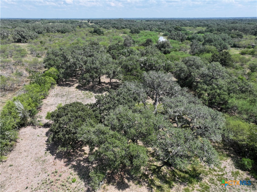 5394 Fm 237 Property Photo 29