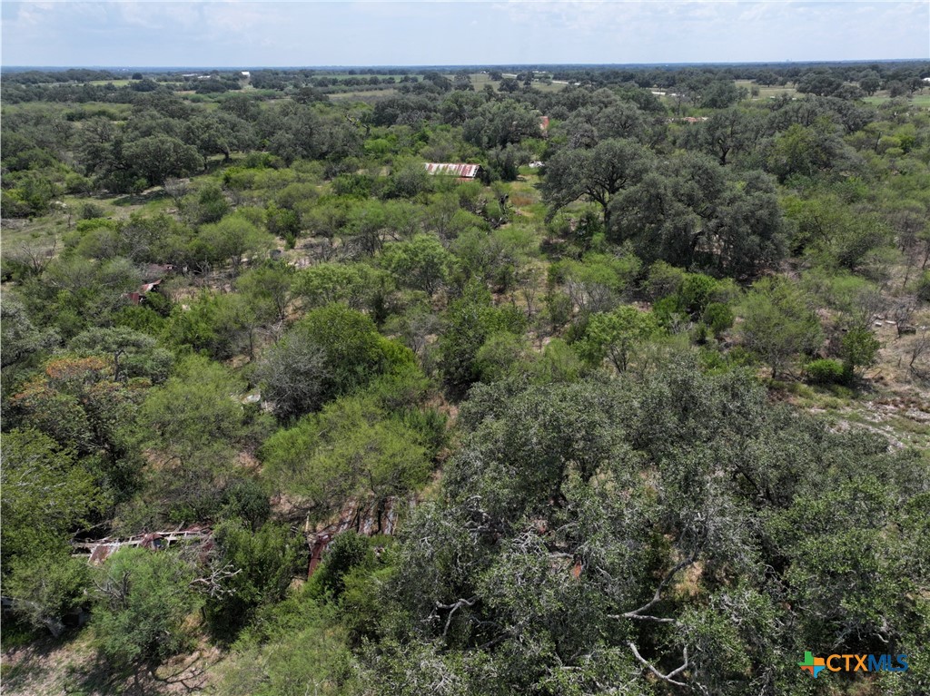 5394 Fm 237 Property Photo 30