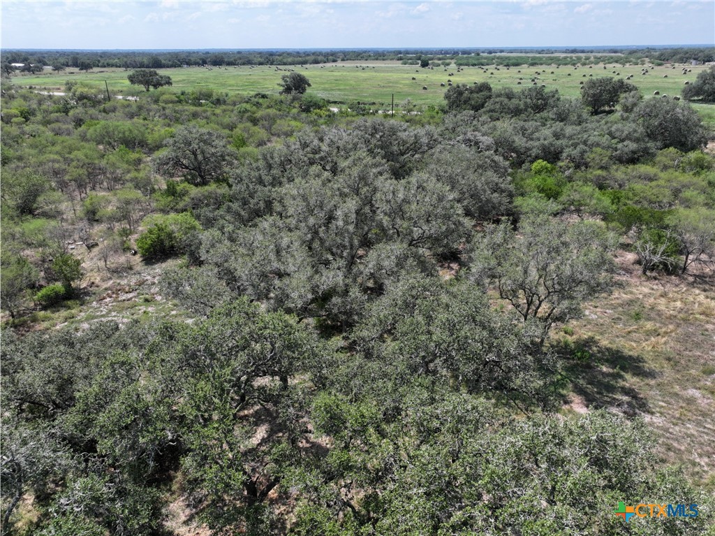 5394 Fm 237 Property Photo 31