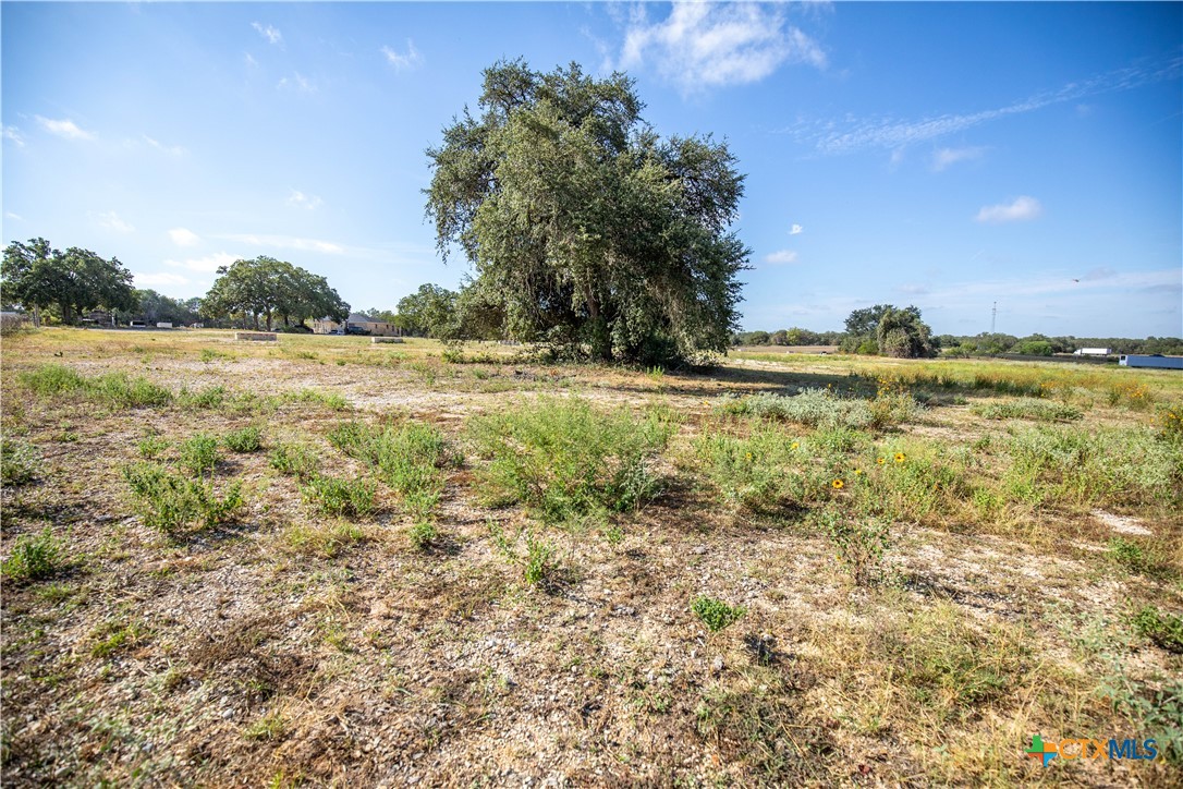 23383 Mathis Road Property Photo 13