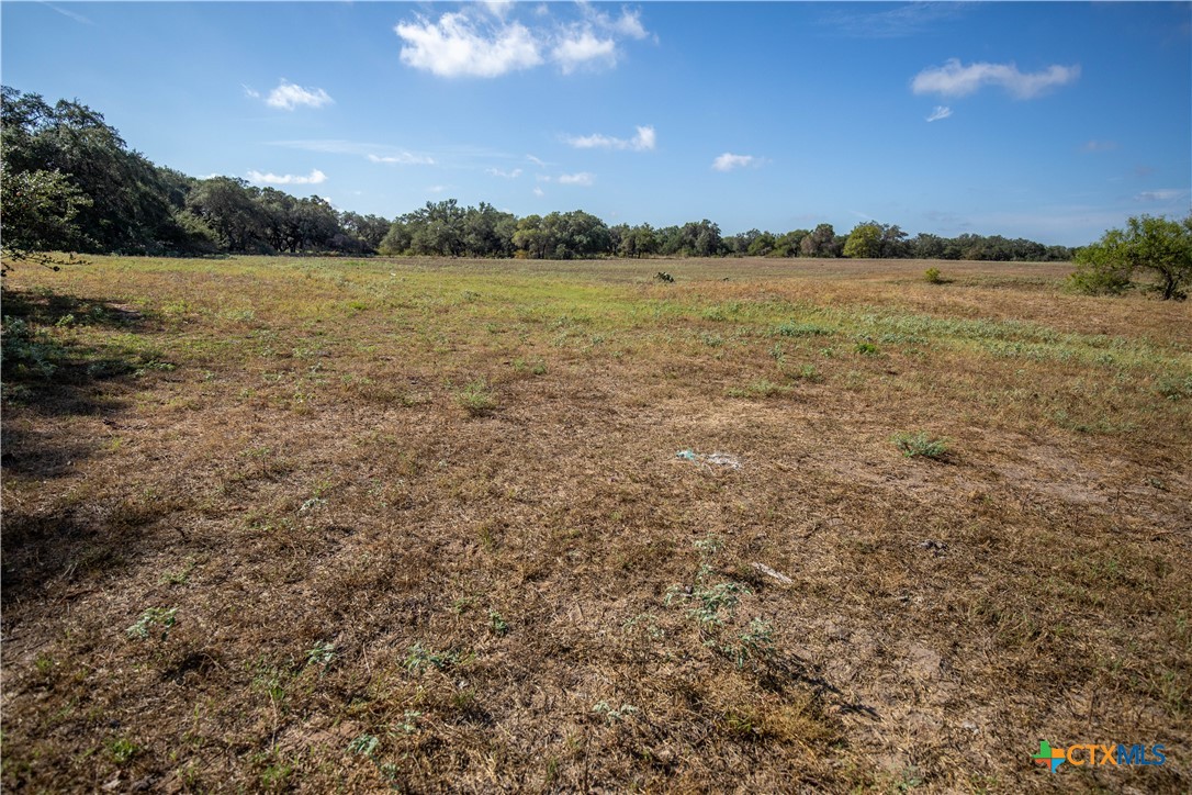 23383 Mathis Road Property Photo 28