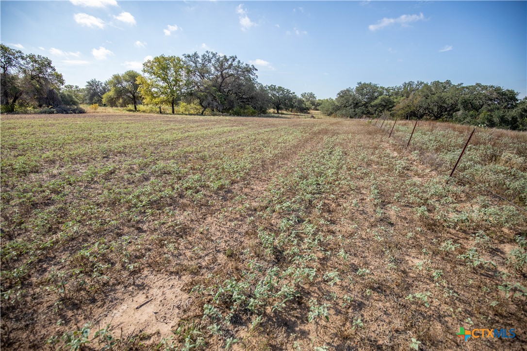23383 Mathis Road Property Photo 35