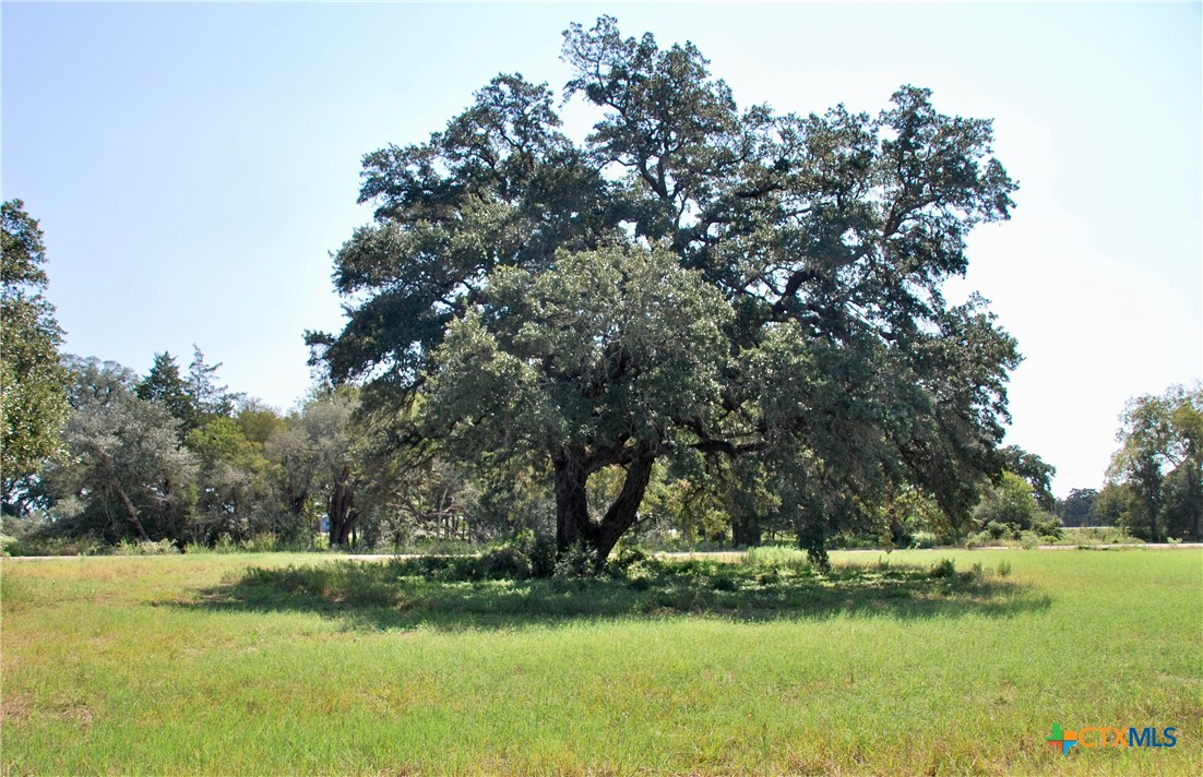 Lot 4 Harvell Lane Property Photo 3