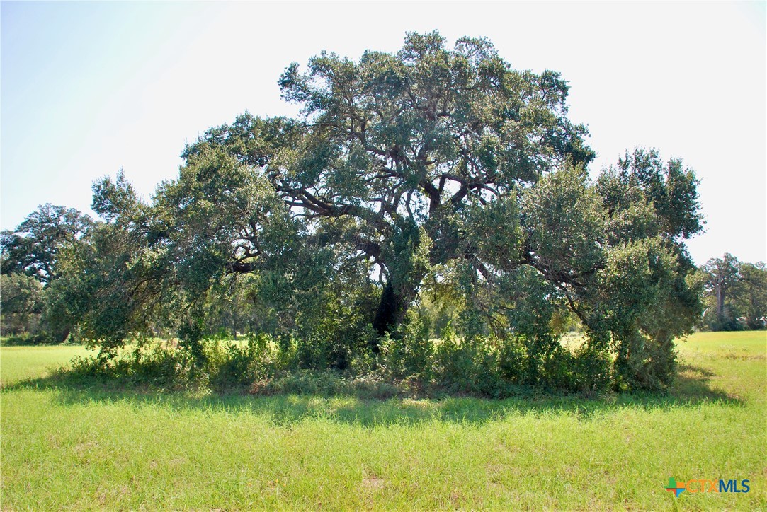 Lot 4 Harvell Lane Property Photo 4