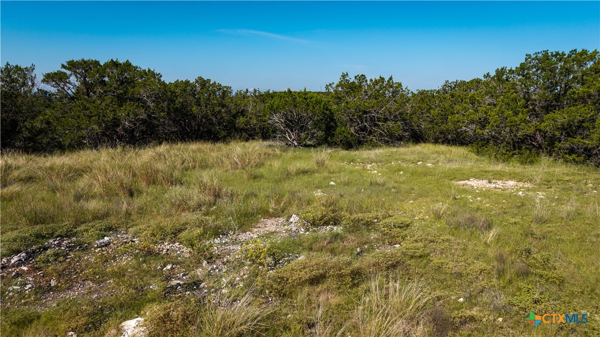 150 Branched Out Trail Property Photo 9