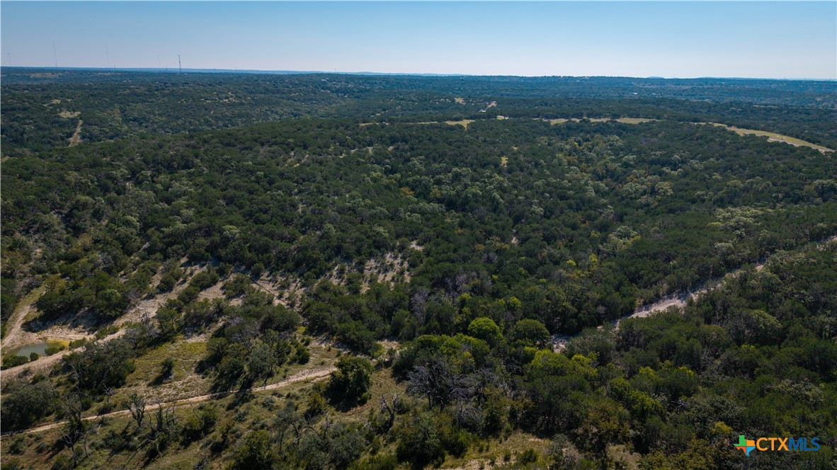 150 Branched Out Trail Property Photo 28