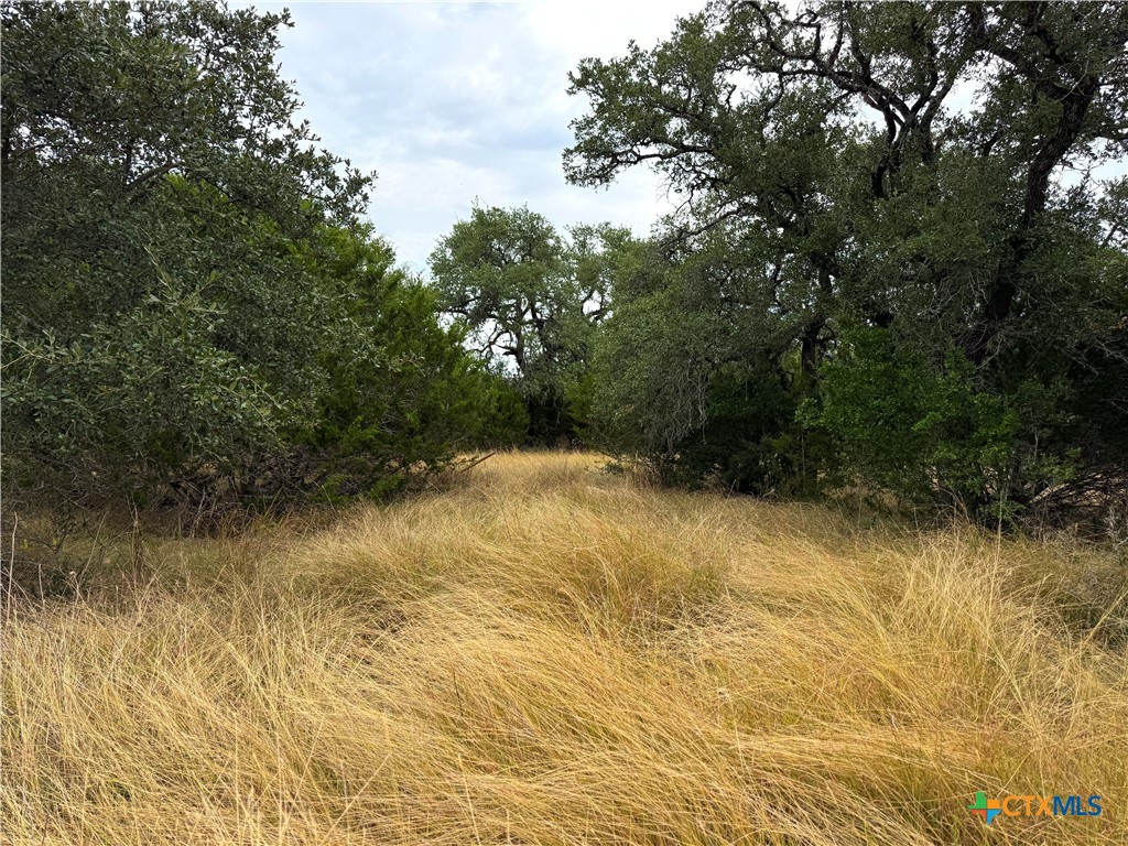 127 Nt Journey Property Photo 6