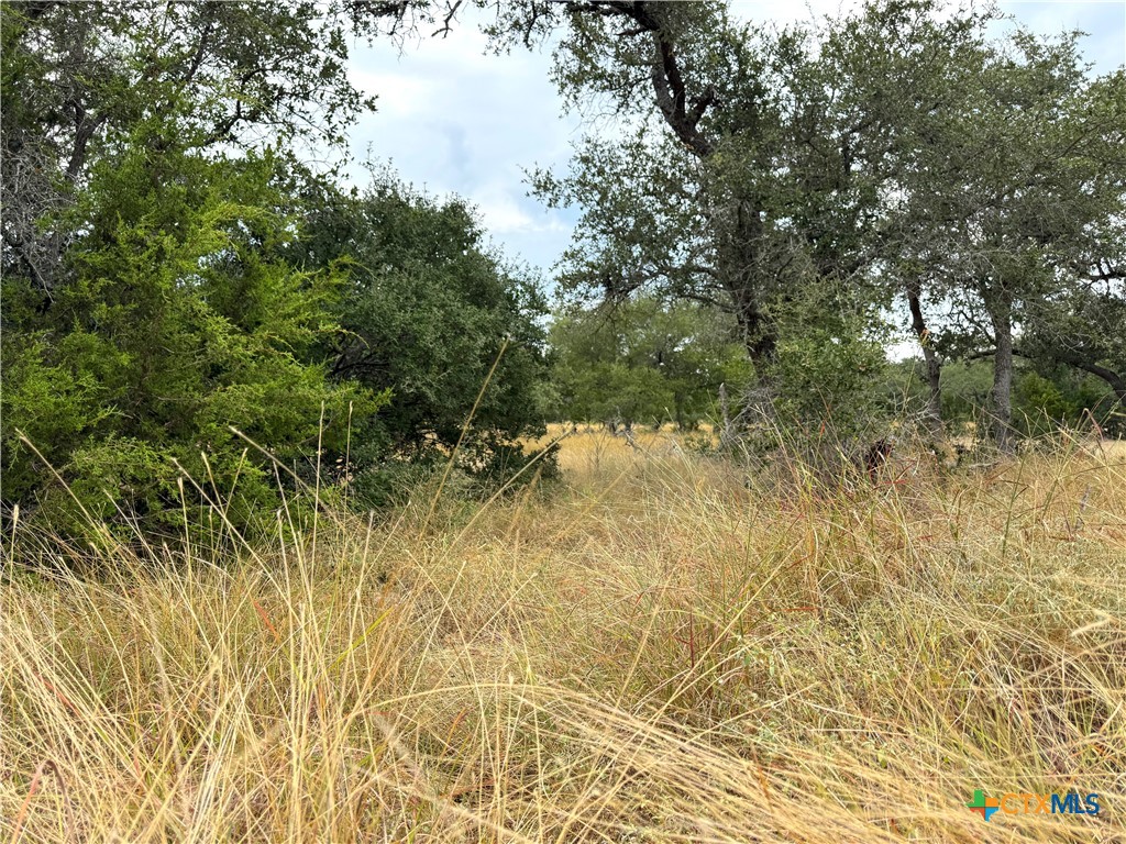 127 Nt Journey Property Photo 8