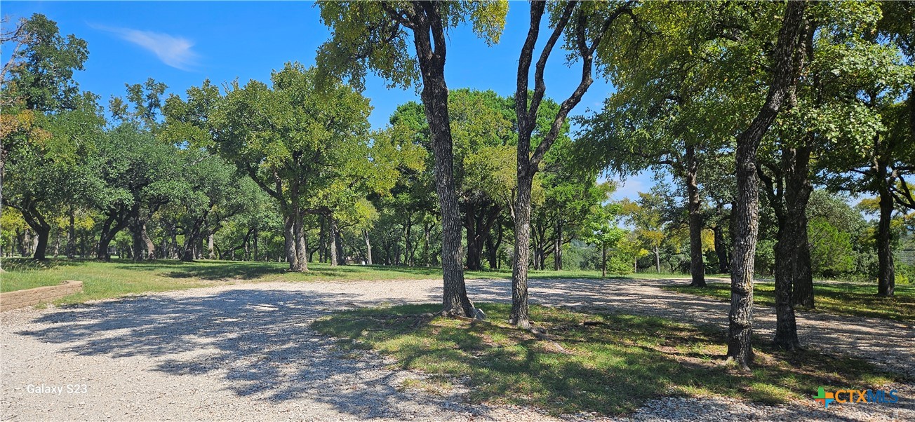 2115 W Hwy 84 Property Photo 14