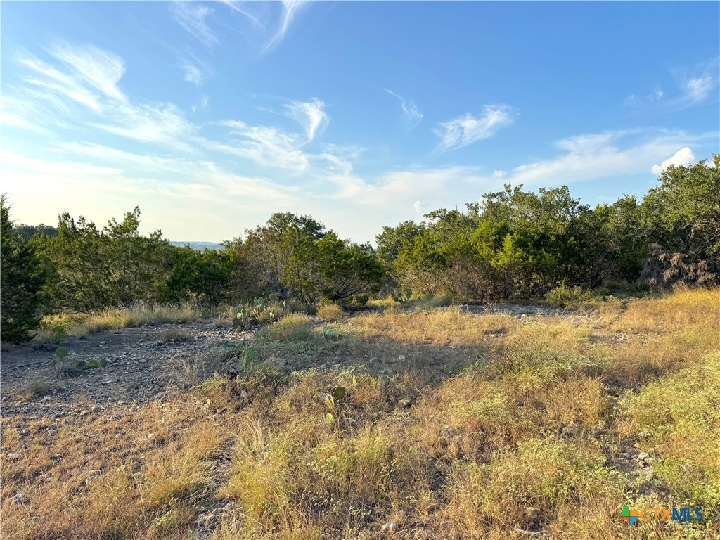 415 Scarlet Court Property Photo 7