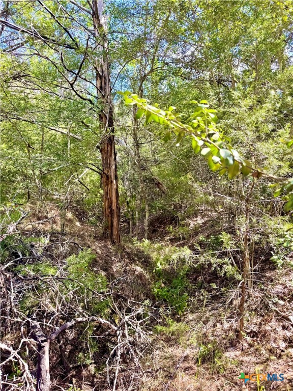 Tbd Rabel Road Property Photo 1