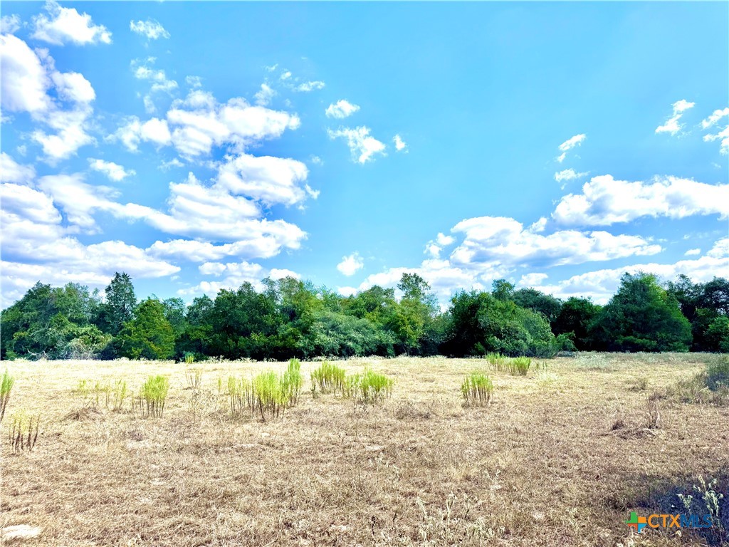 Tbd Rabel Road Property Photo 3