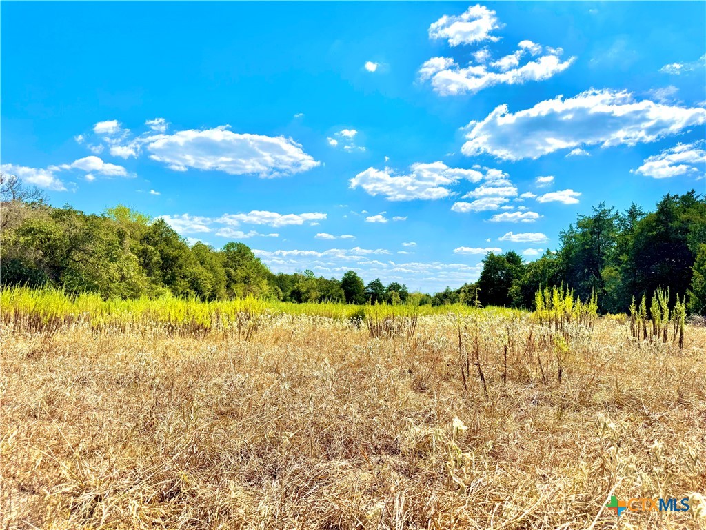 Tbd Rabel Road Property Photo 10