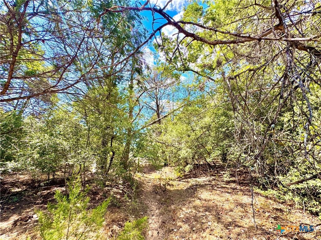 Tbd Rabel Road Property Photo 11