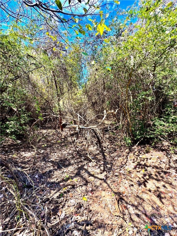 Tbd Rabel Road Property Photo 13