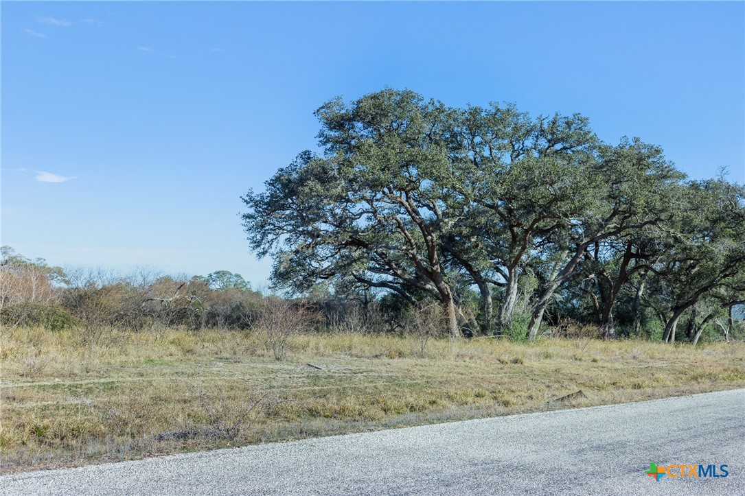 000 Savannah Ranch Road BLK 1 Lot 12 Property Photo 1