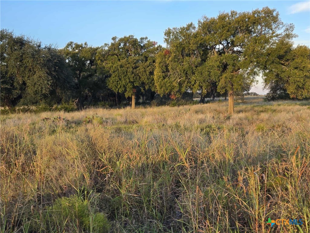 317 Yellowstone Drive Property Photo 6