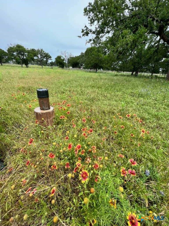 317 Yellowstone Drive Property Photo 13