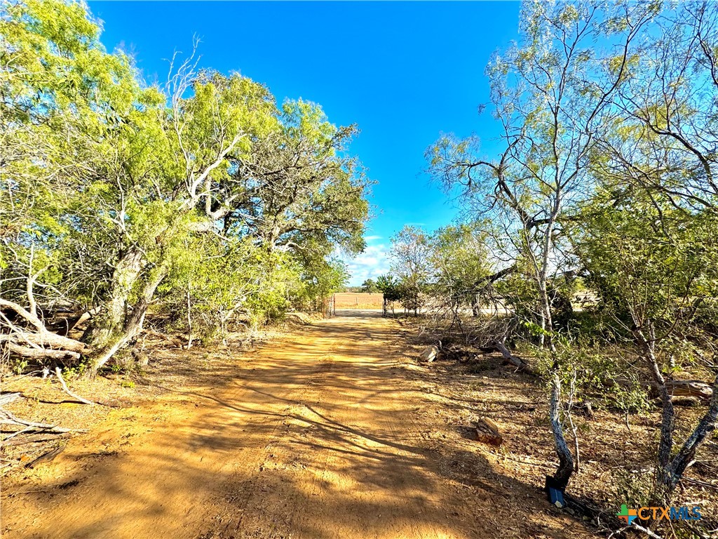 6052 Tenny Creek Rd Property Photo 9