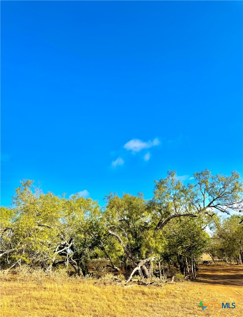 6052 Tenny Creek Rd Property Photo 11