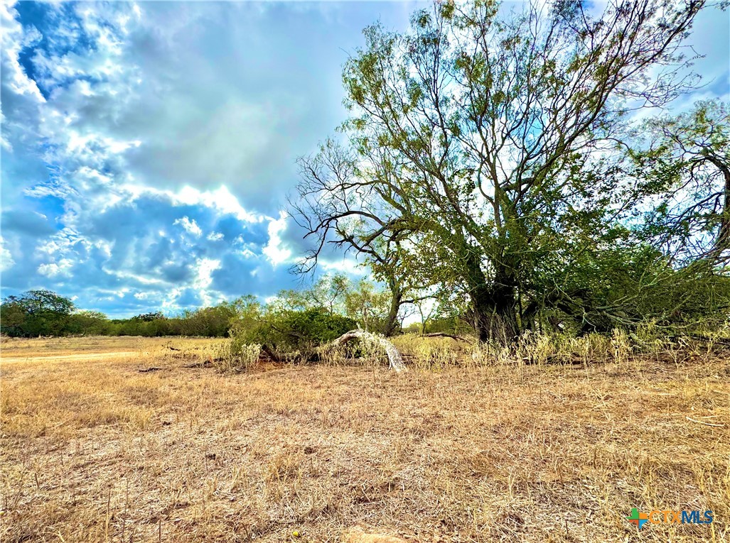 6052 Tenny Creek Rd Property Photo 20