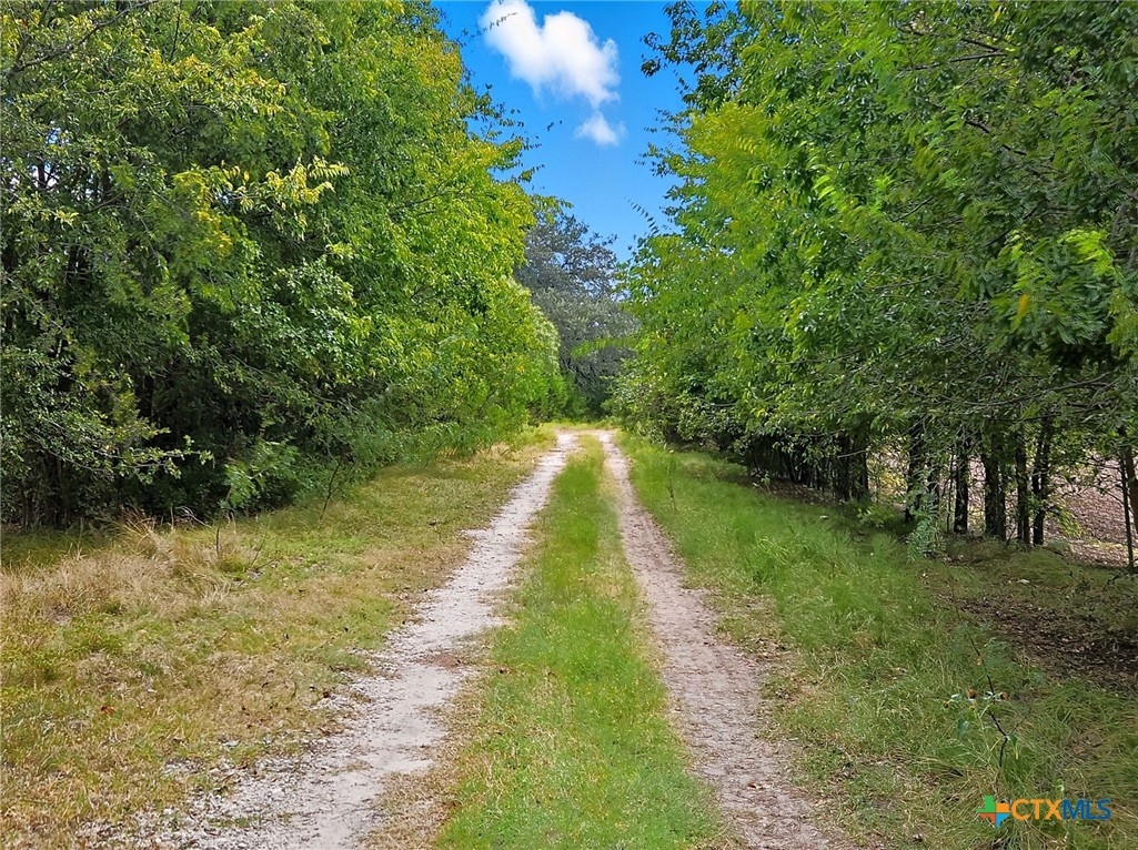 Tbd-482 Acres W Fm 217 Property Photo 6