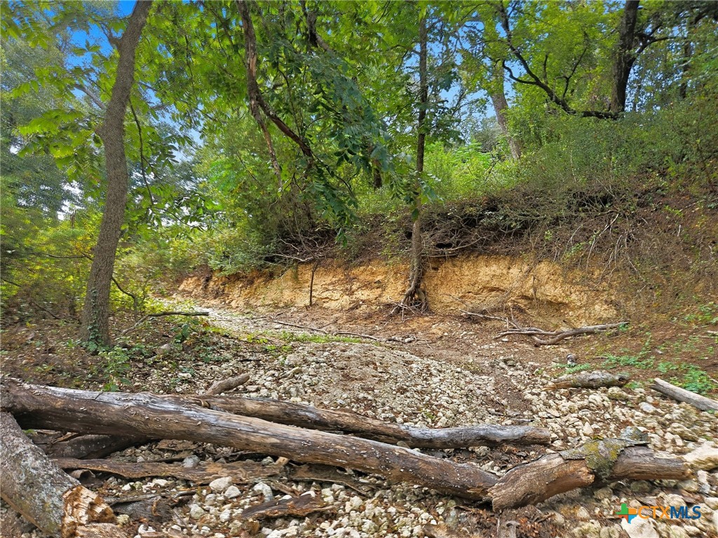Tbd-482 Acres W Fm 217 Property Photo 11