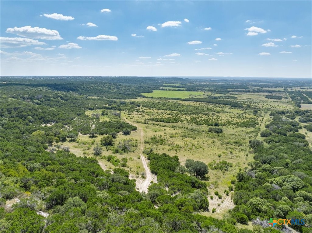 Tbd-482 Acres W Fm 217 Property Photo 33
