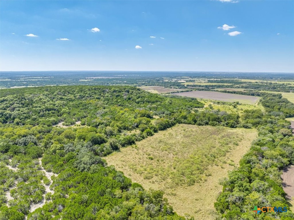 Tbd-482 Acres W Fm 217 Property Photo 43