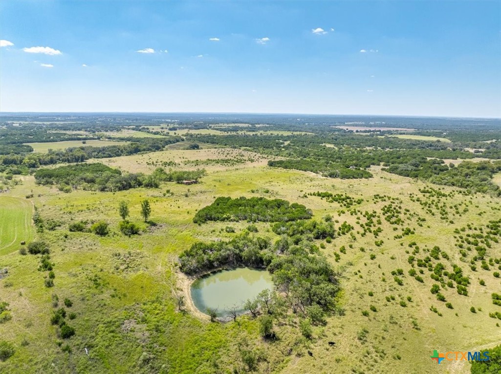 Tbd-482 Acres W Fm 217 Property Photo 45