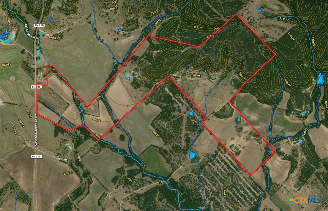Tbd-482 Acres W Fm 217 Property Photo 46