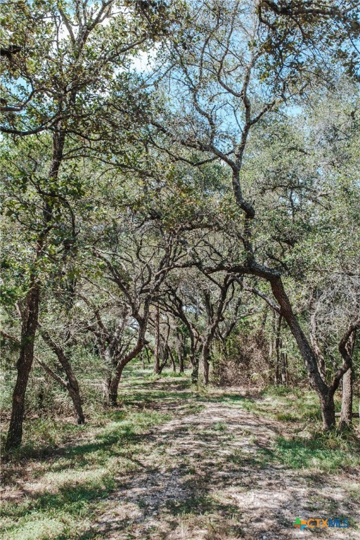 Tract F Vitek Lane Property Photo 15