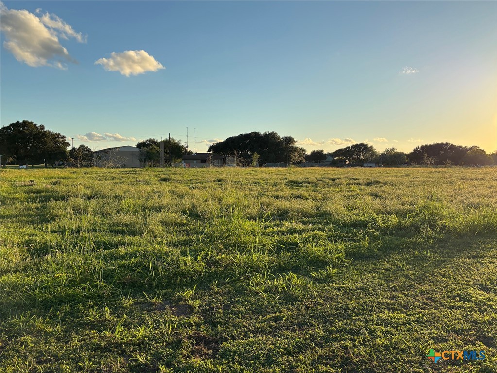 302 W Fannin Street Property Photo 1