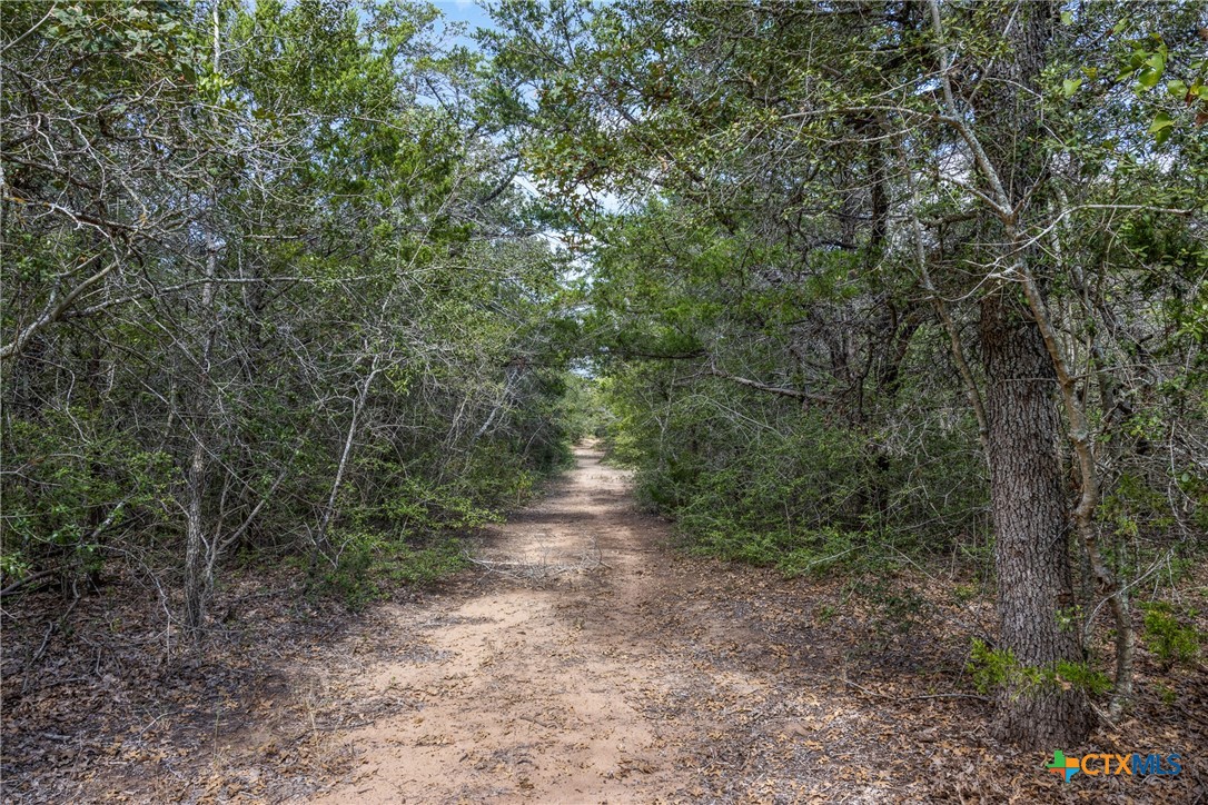 2135 Mule Creek Road Property Photo 25