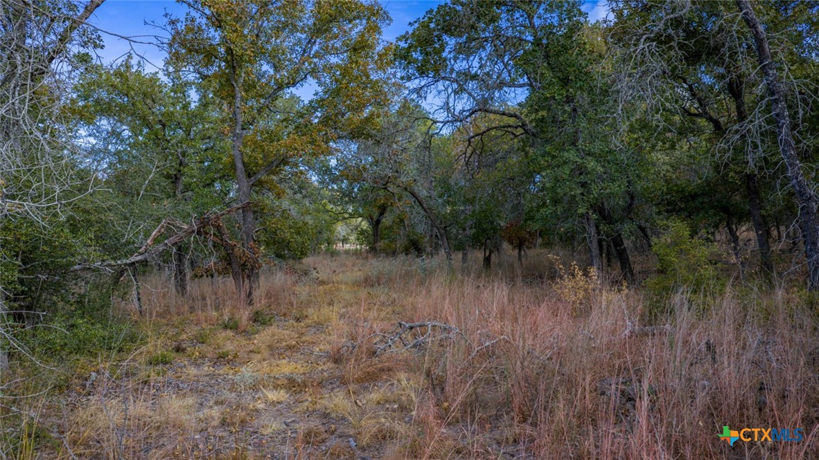 Tract 14 Sandstone Ln Property Photo 4