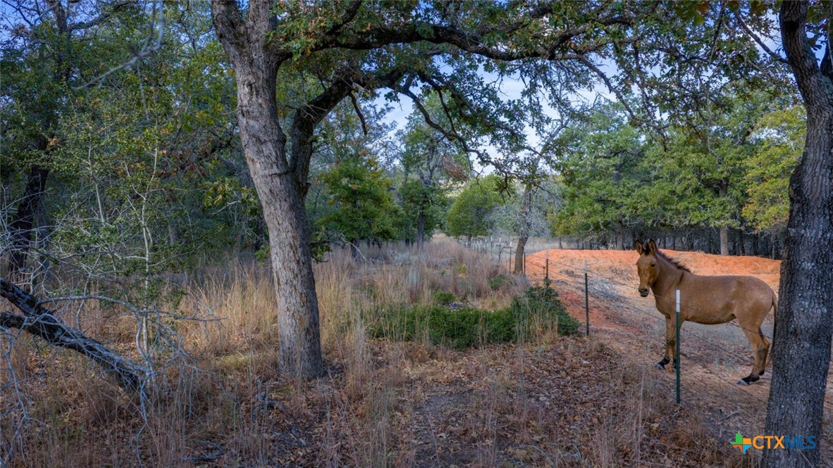 Tract 14 Sandstone Ln Property Photo 5
